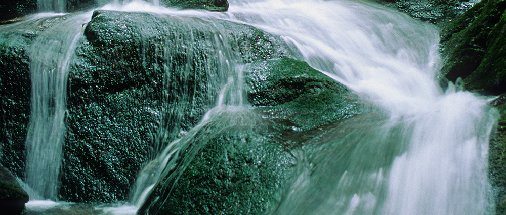 Water flowing over moss-covered stones in a stream.